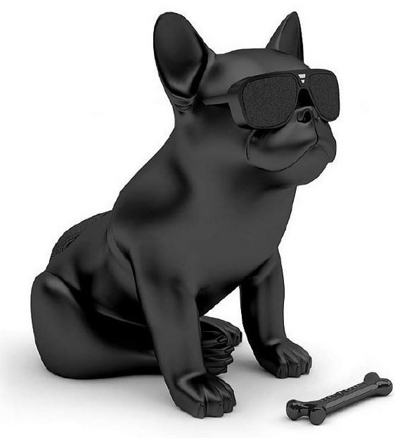 aerobull speaker