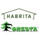 Cobertizo de jardín Habrita en madera maciza Douglas 17,20 m2 con Bucher