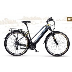 Elektrofahrrad VTC MTF Road 3.4W 28 Zoll 900Wh 36V/25Ah Rahmen 19'