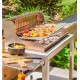 Le Marquier Irissarry Barbecue in Acciaio Inox con Carrello e Girarrosto