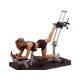 Fitness glutes Glute Master Powerline equipment